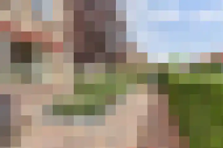 Korte Waarder 30 Nieuwerbrug aan den Rijn thumbnail 49