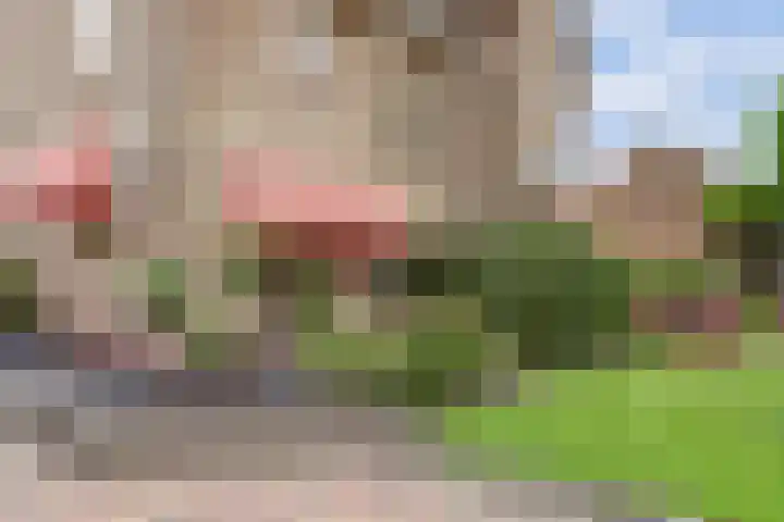 Korte Waarder 30 Nieuwerbrug aan den Rijn thumbnail 54
