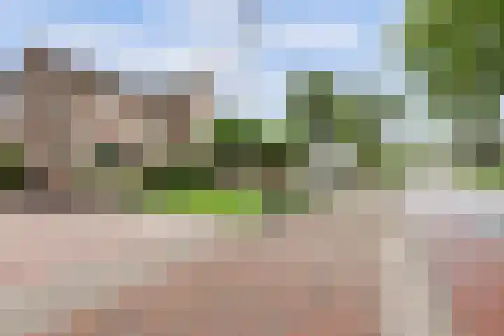 Korte Waarder 30 Nieuwerbrug aan den Rijn thumbnail 56
