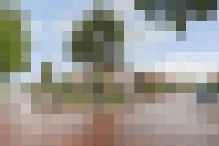 Korte Waarder 30 Nieuwerbrug aan den Rijn thumbnail 57