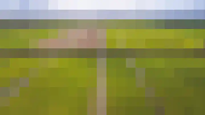 Korte Waarder 30 Nieuwerbrug aan den Rijn thumbnail 64