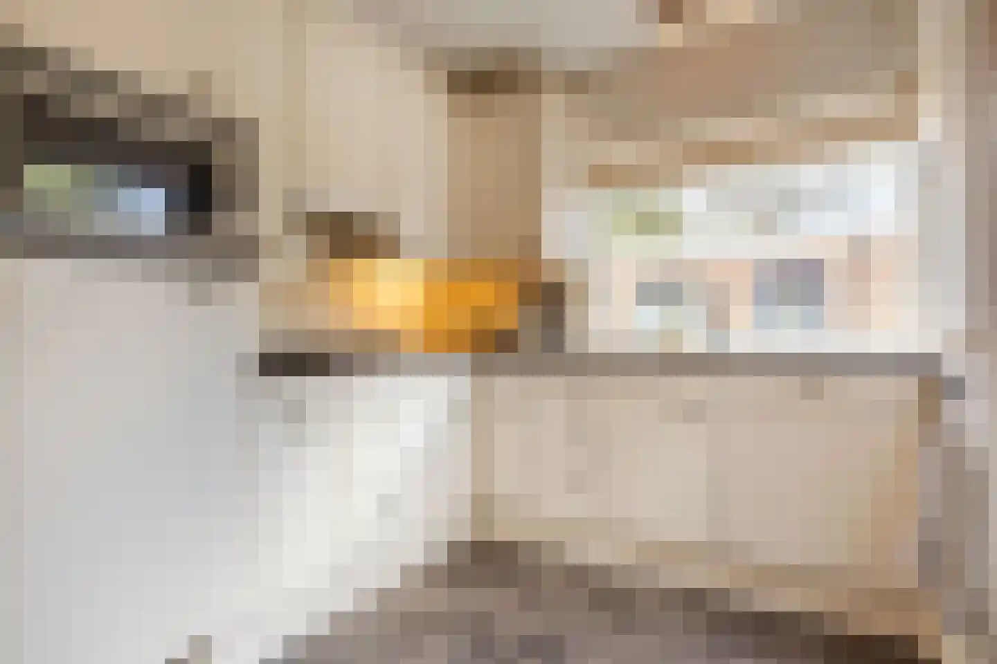 Korte Wagenstraat 2 Gilze thumbnail 12