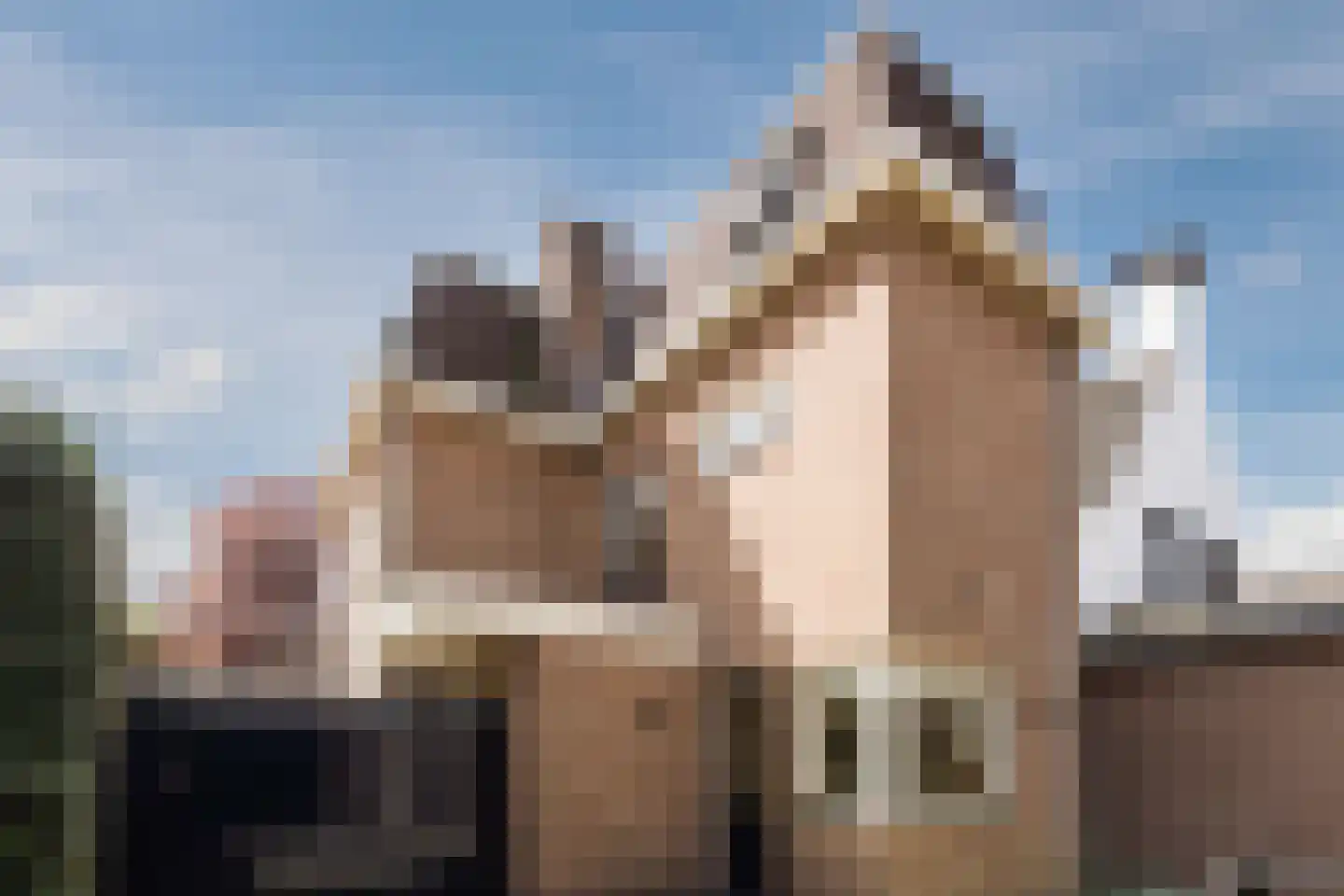 Korte Wagenstraat 2 Gilze thumbnail 15