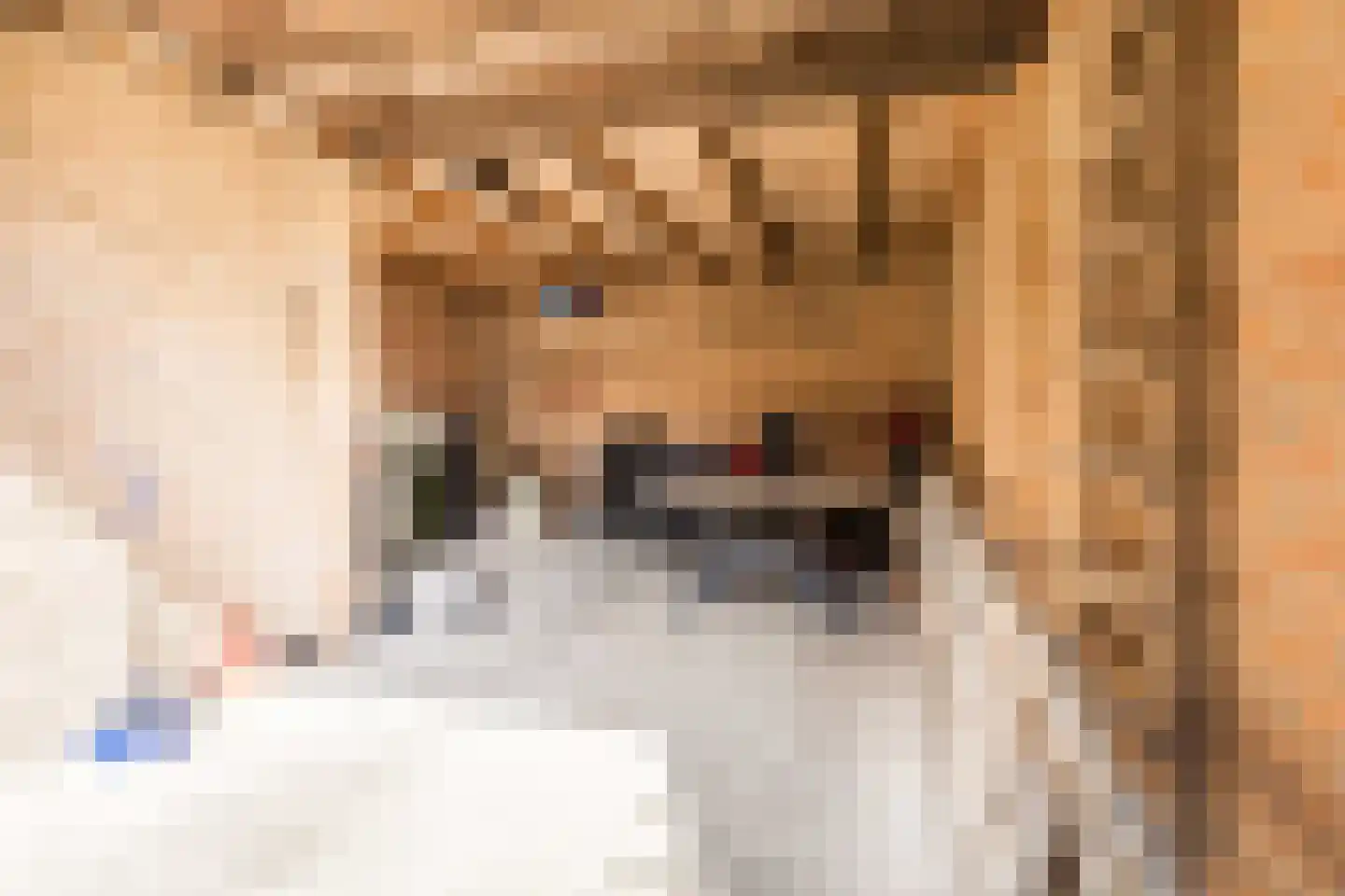 Korte Wagenstraat 2 Gilze thumbnail 17