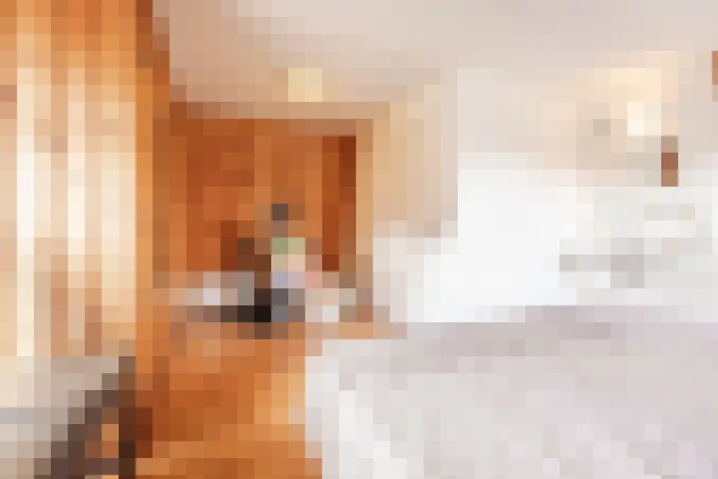 Korte Wagenstraat 2 Gilze thumbnail 28