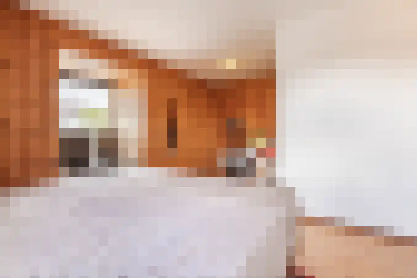 Korte Wagenstraat 2 Gilze thumbnail 30