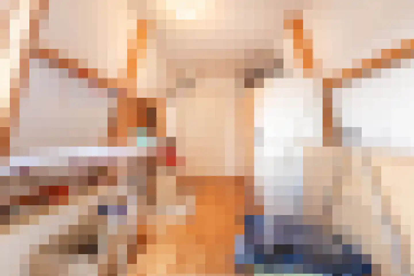 Korte Wagenstraat 2 Gilze thumbnail 32