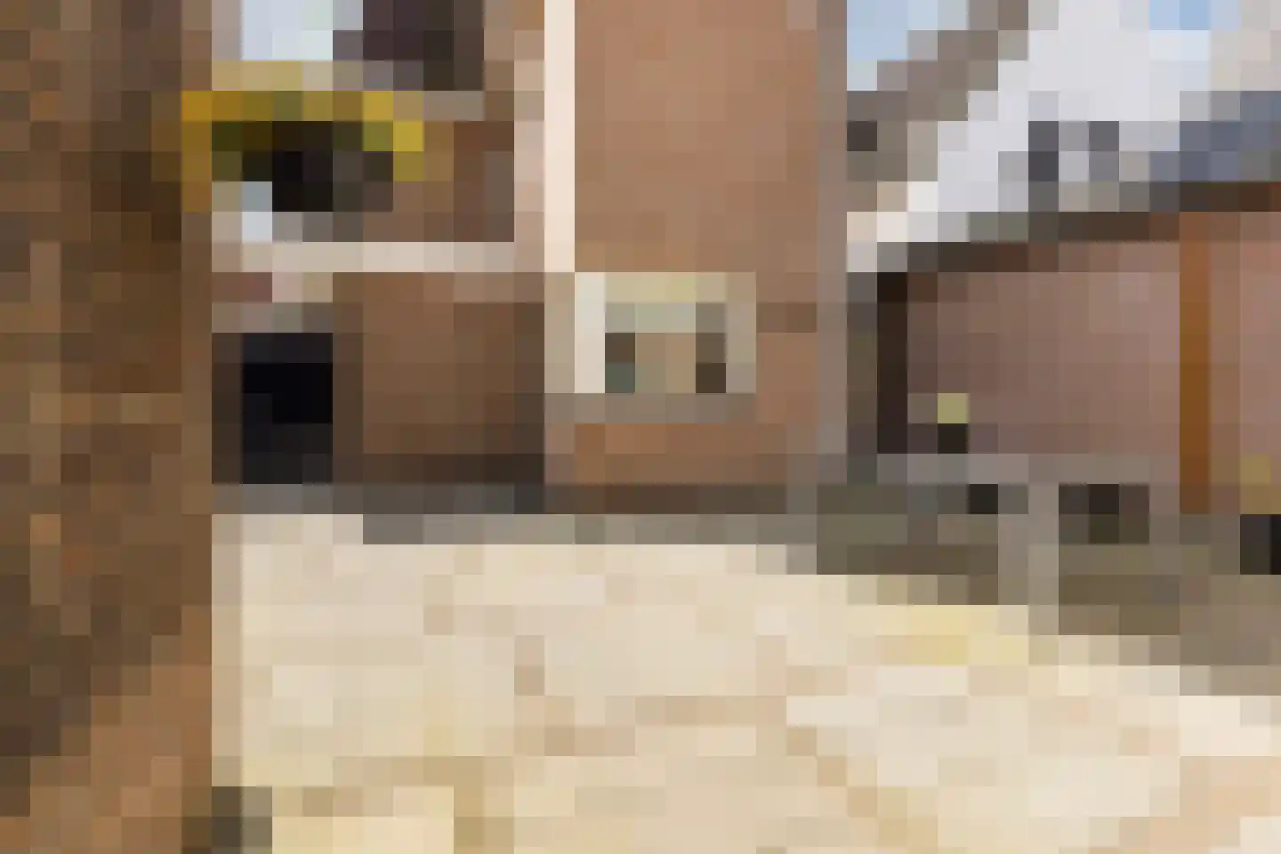 Korte Wagenstraat 2 Gilze thumbnail 34