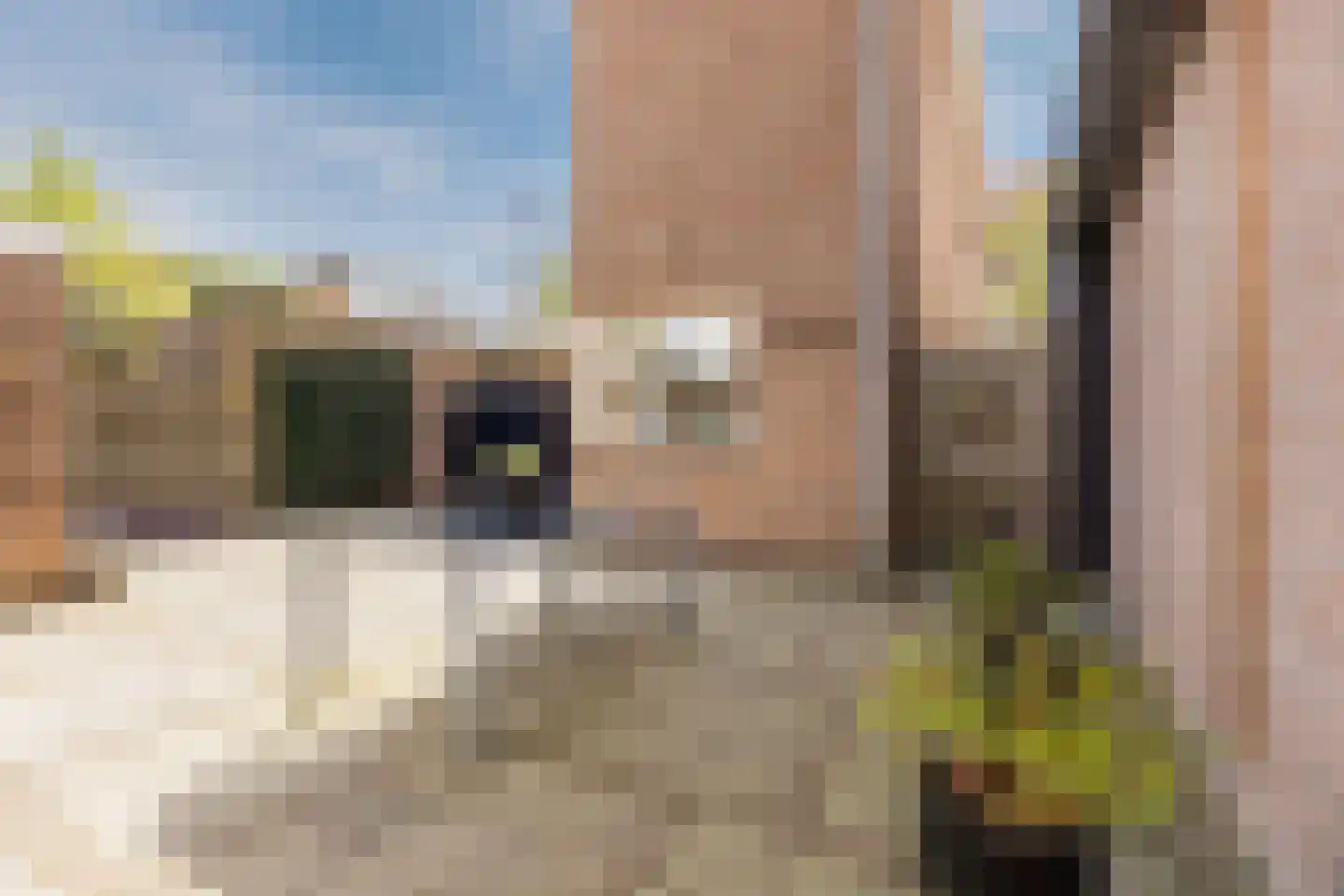 Korte Wagenstraat 2 Gilze thumbnail 35