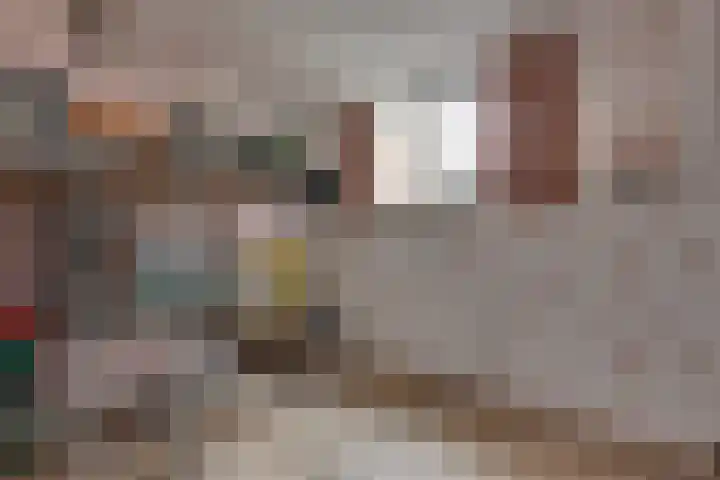 Korte Wal 1 a Borculo thumbnail 18
