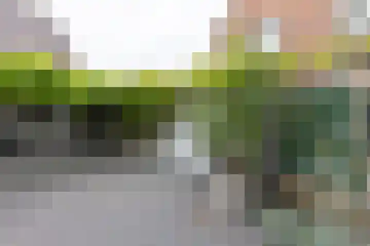 Korte Wal 1 a Borculo thumbnail 27