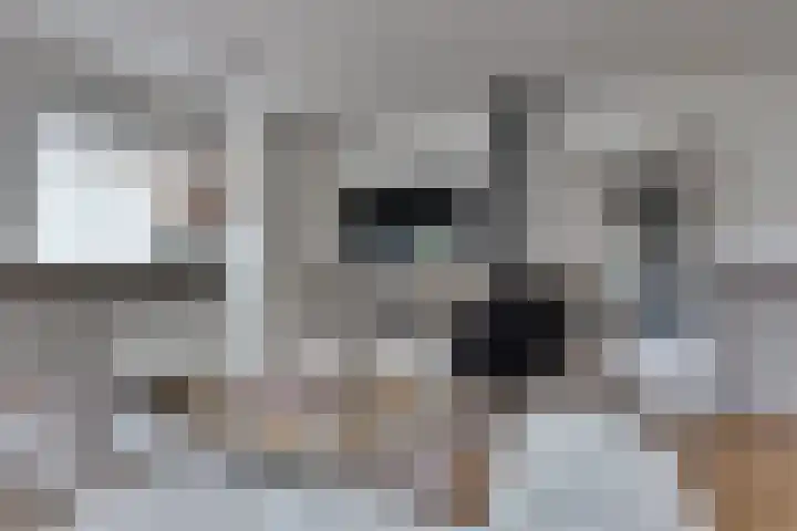 Korte Wal 1 a Borculo thumbnail 6