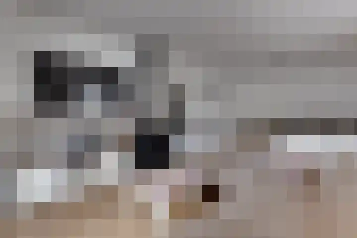 Korte Wal 1 a Borculo thumbnail 7