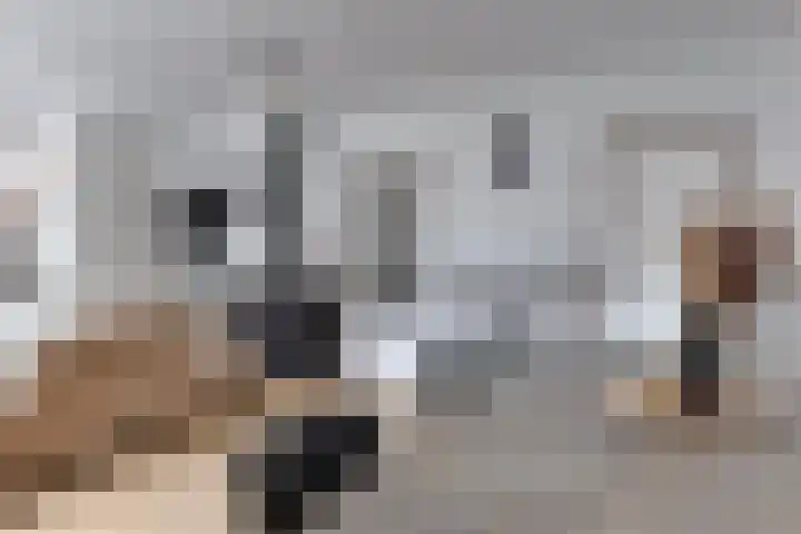 Korte Wal 1 a Borculo thumbnail 8