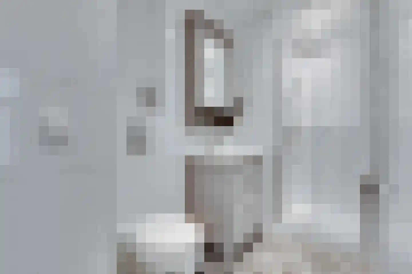 Korte Wal 1 Borculo thumbnail 15
