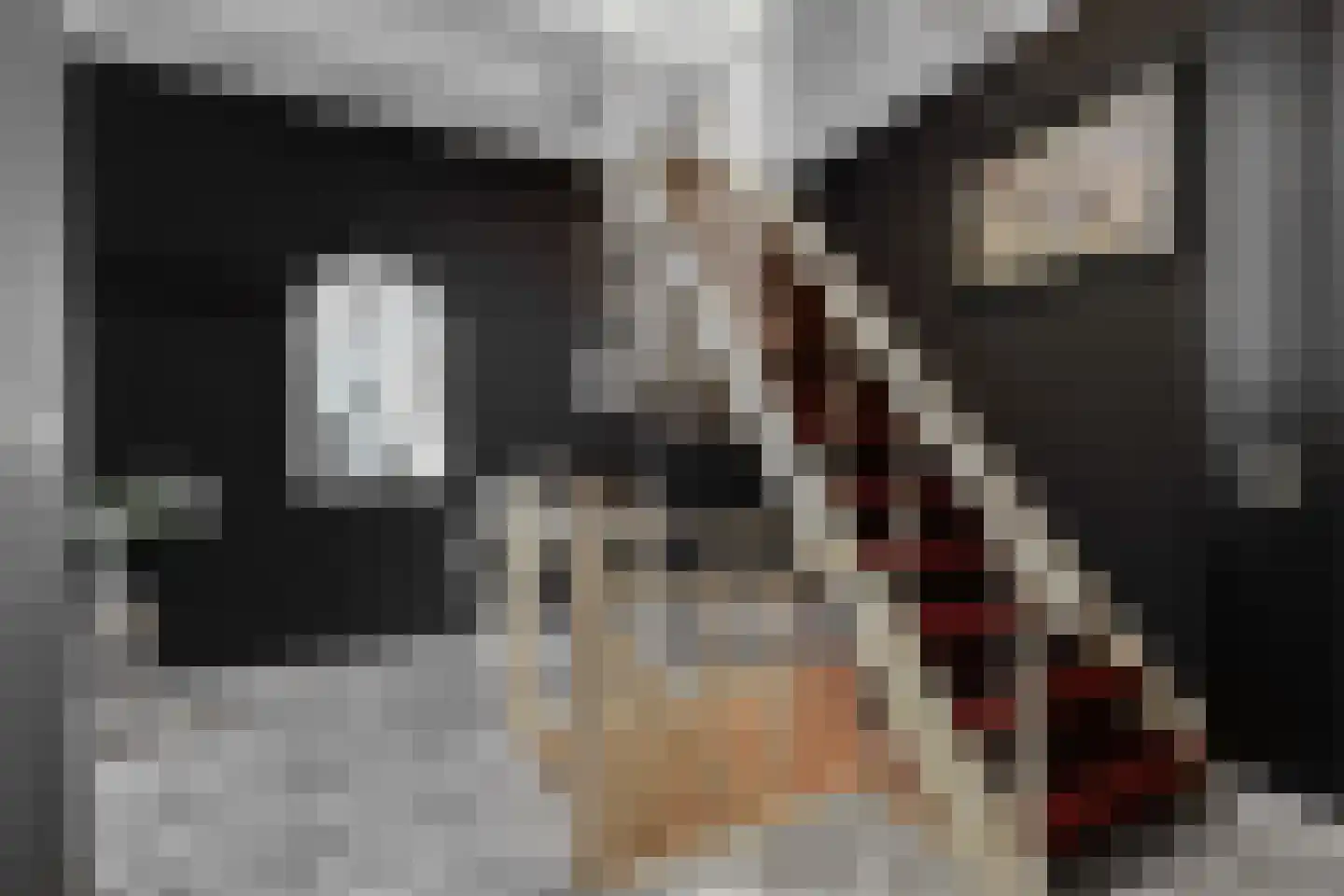 Korte Wal 1 Borculo thumbnail 17