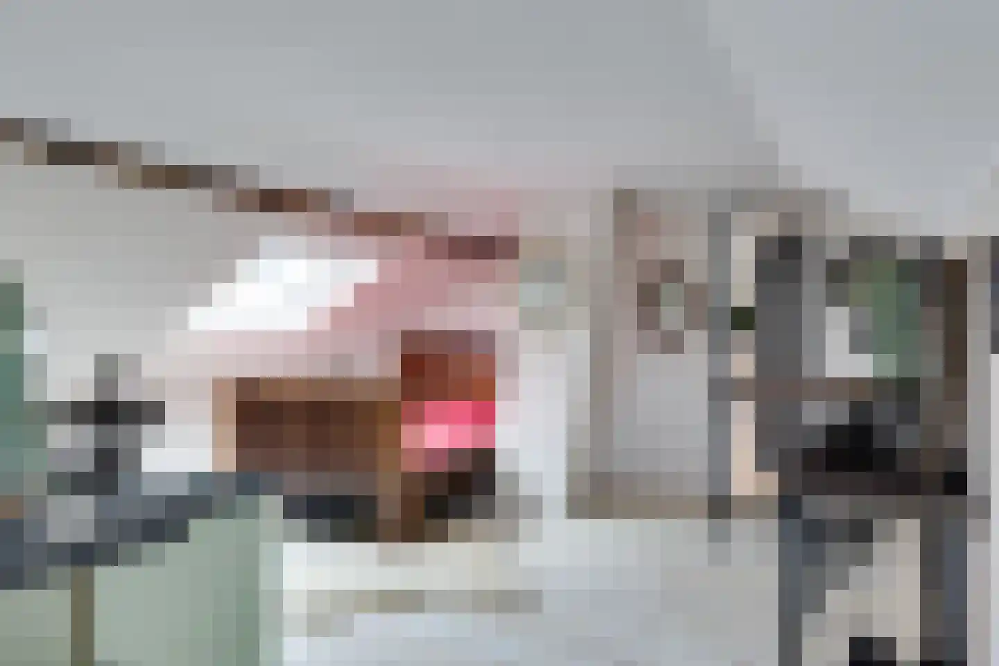 Korte Wal 1 Borculo thumbnail 19