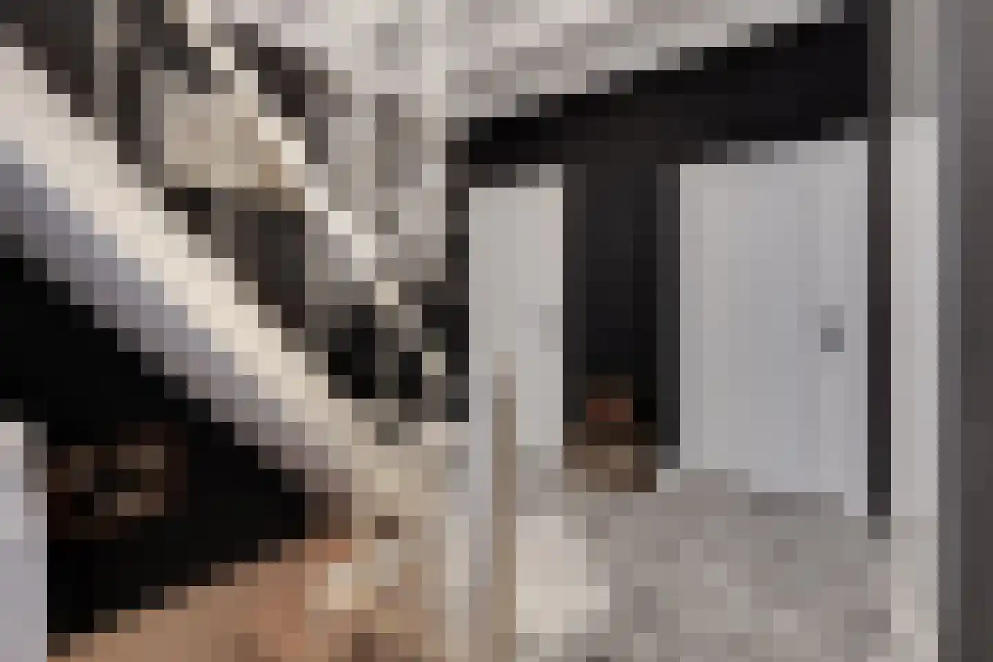 Korte Wal 1 Borculo thumbnail 4