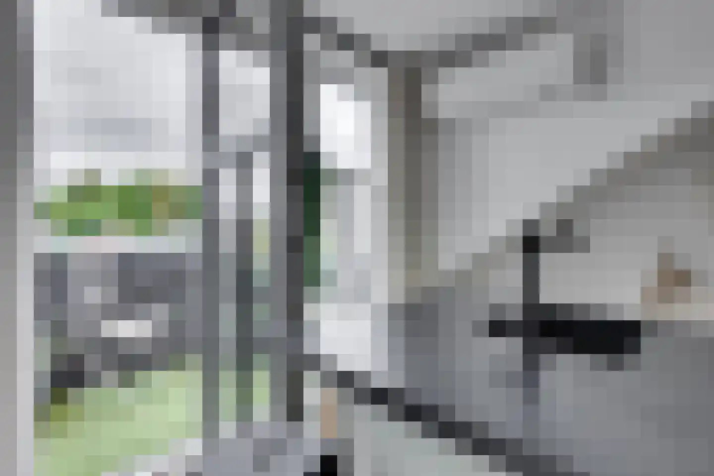 Korte Wal 1 Borculo thumbnail 6