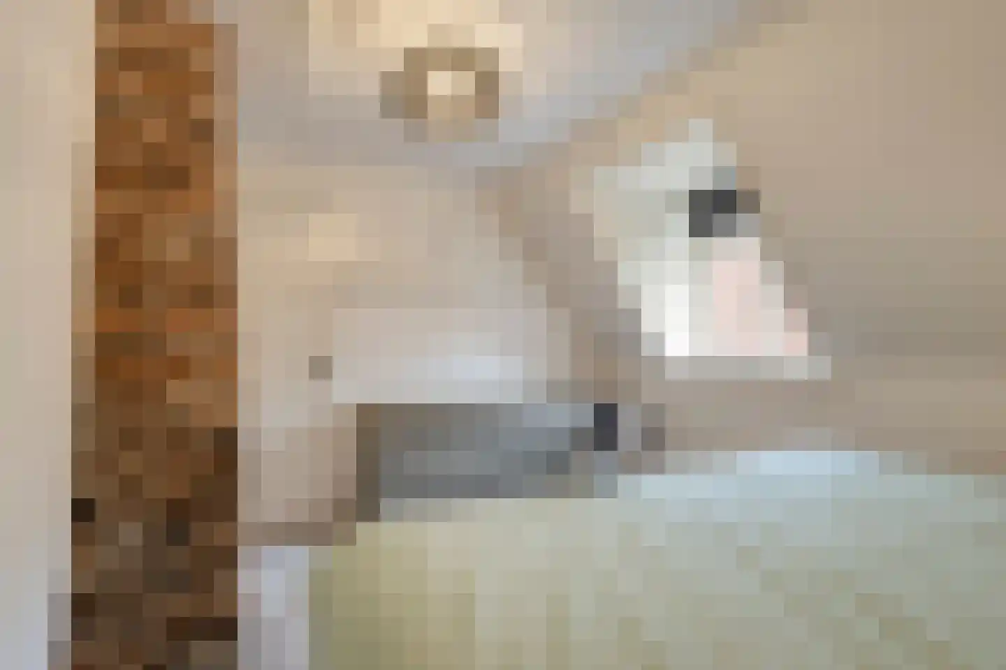 Korte Wal 10 Borculo thumbnail 20