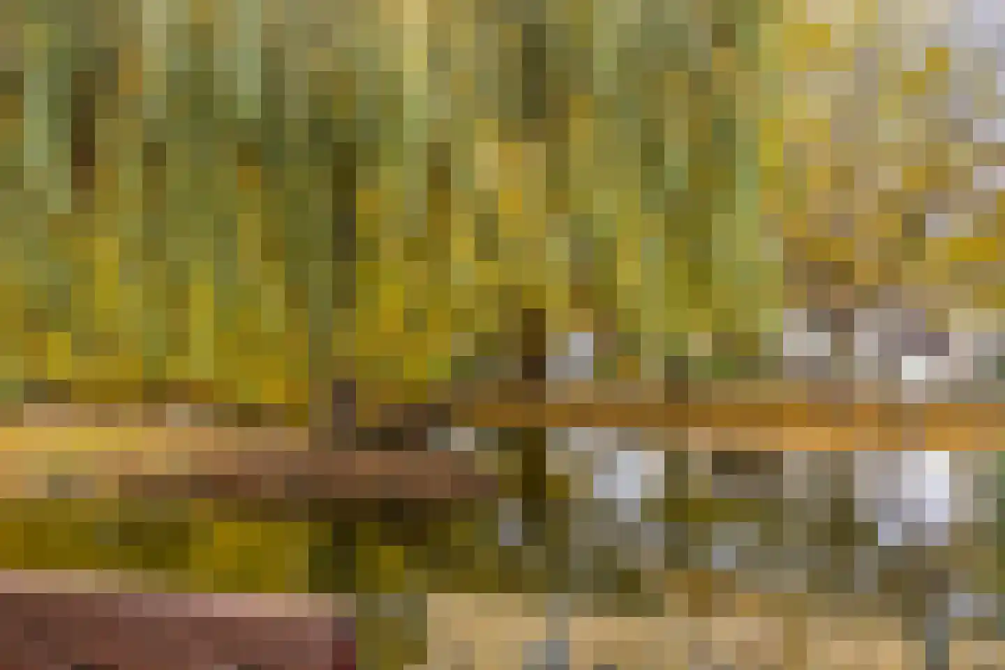 Korte Wal 10 Borculo thumbnail 24