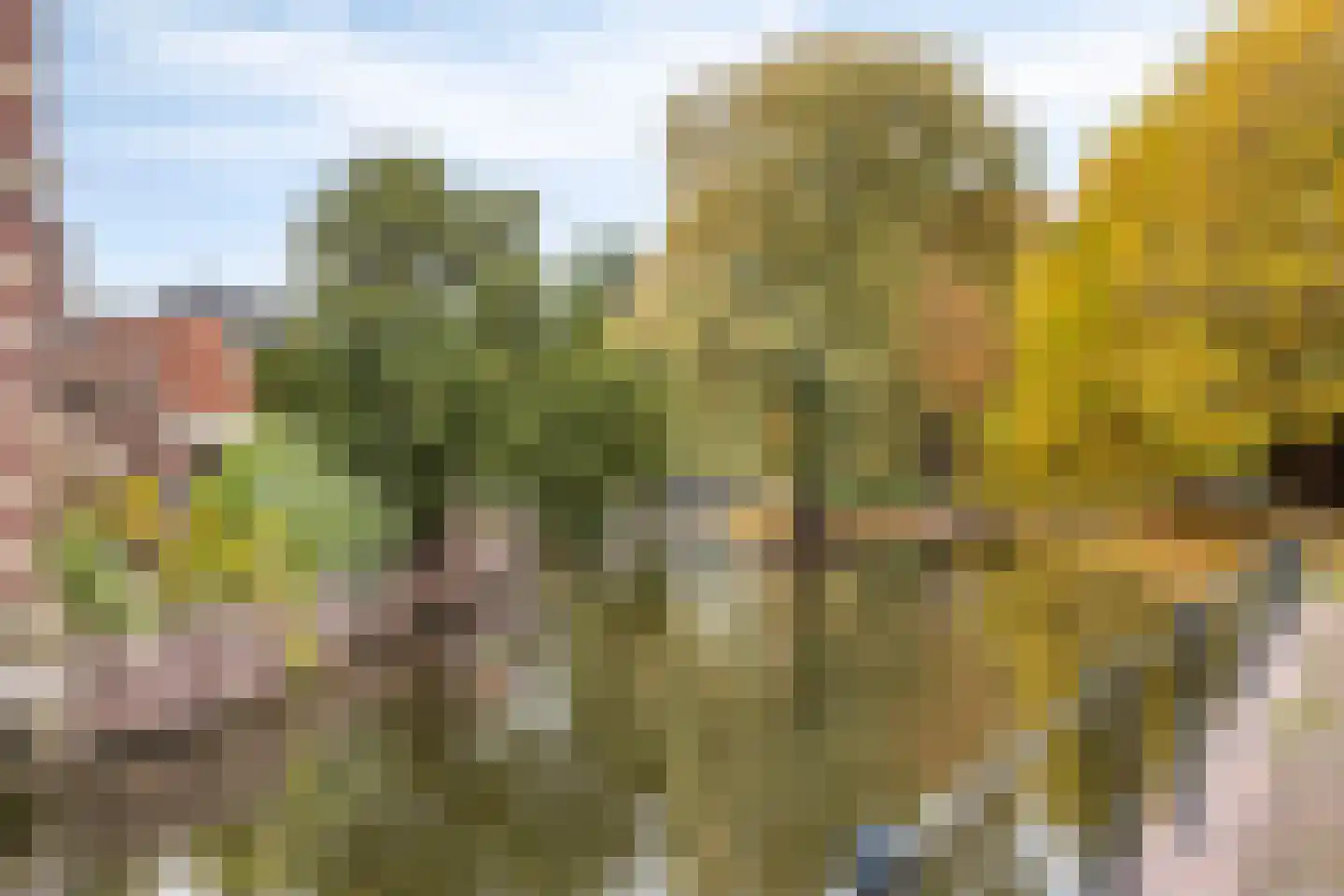 Korte Wal 10 Borculo thumbnail 25