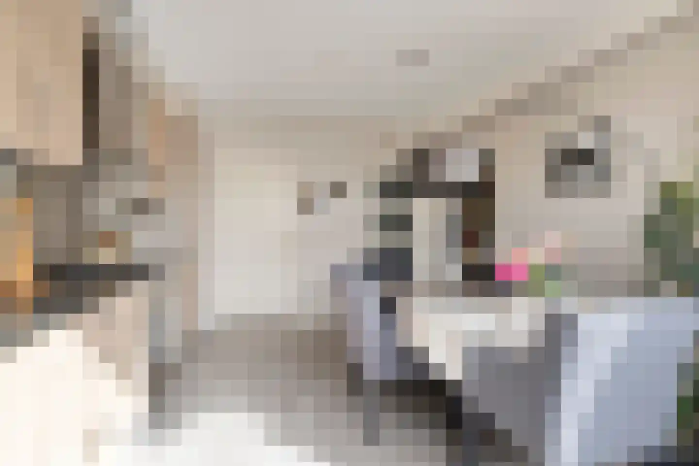 Korte Wal 26 Borculo thumbnail 10