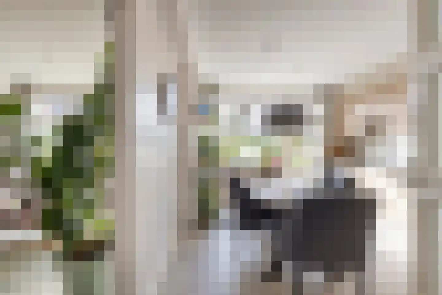 Korte Wal 26 Borculo thumbnail 12