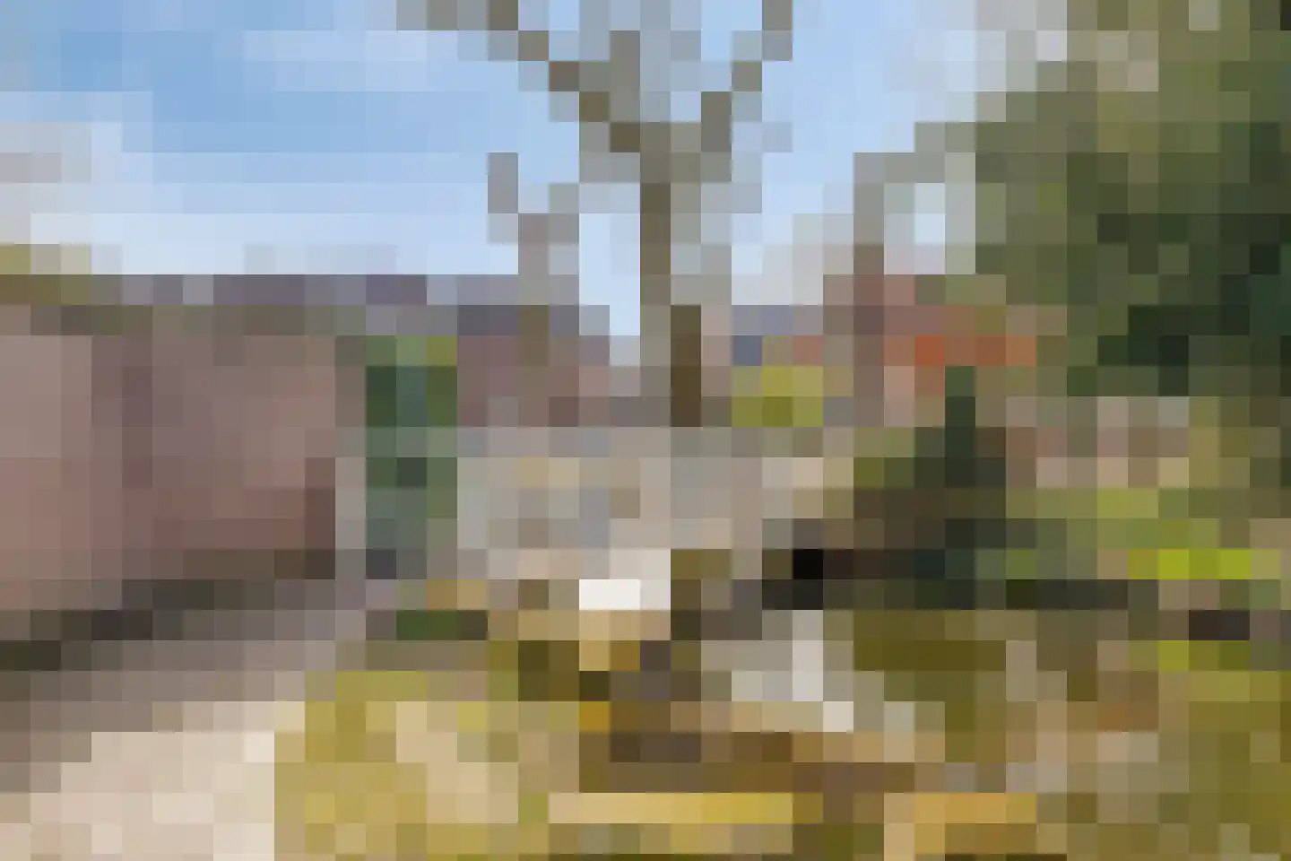 Korte Wal 26 Borculo thumbnail 42