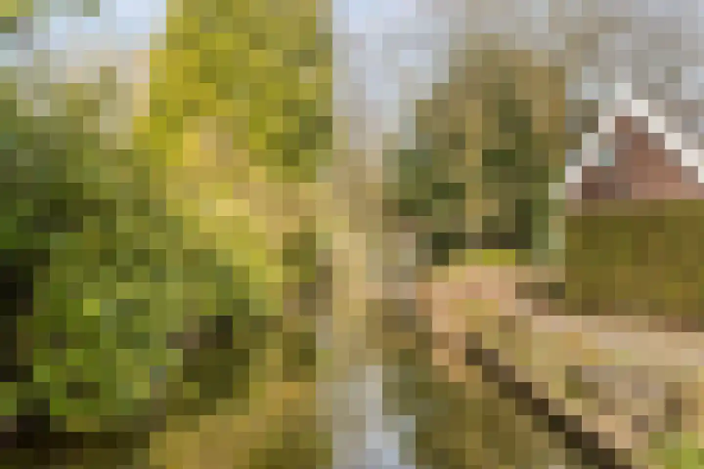 Korte Wal 26 Borculo thumbnail 43