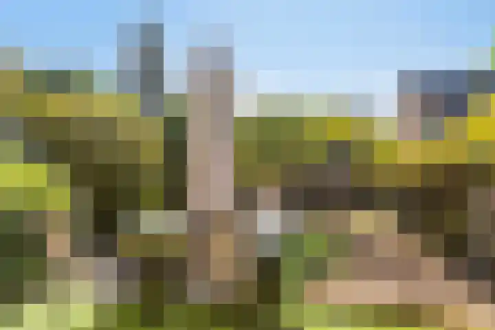 Korte Water 149 Amsterdam thumbnail 12