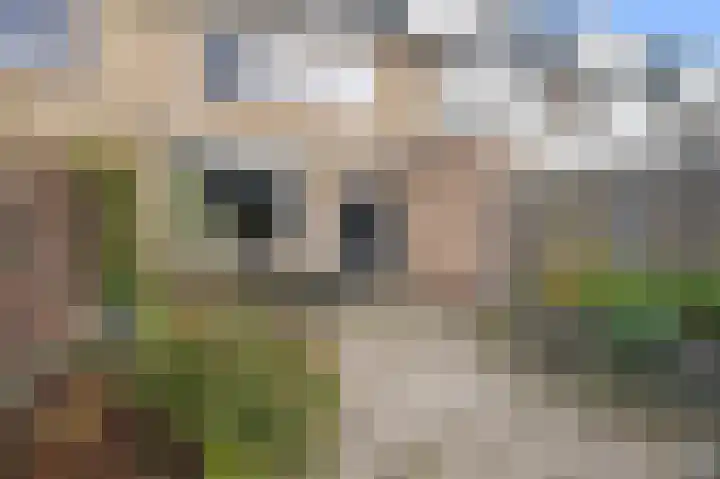 Korte Water 228 Amsterdam thumbnail 11
