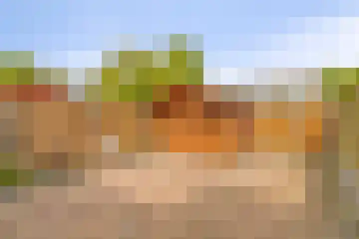 Korte Water 256 Amsterdam thumbnail 38