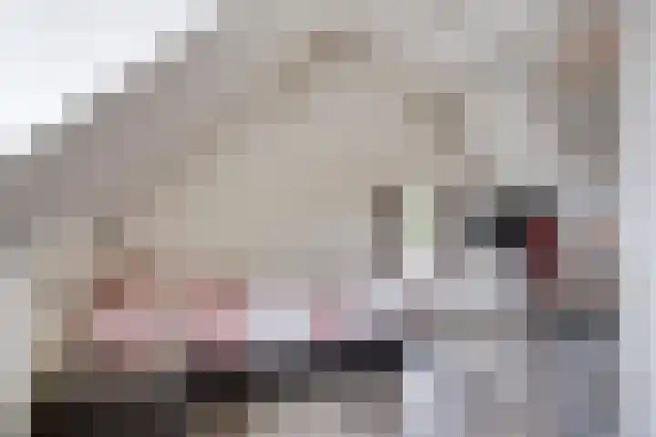 Korte Zandpad 16 Lopik thumbnail 24