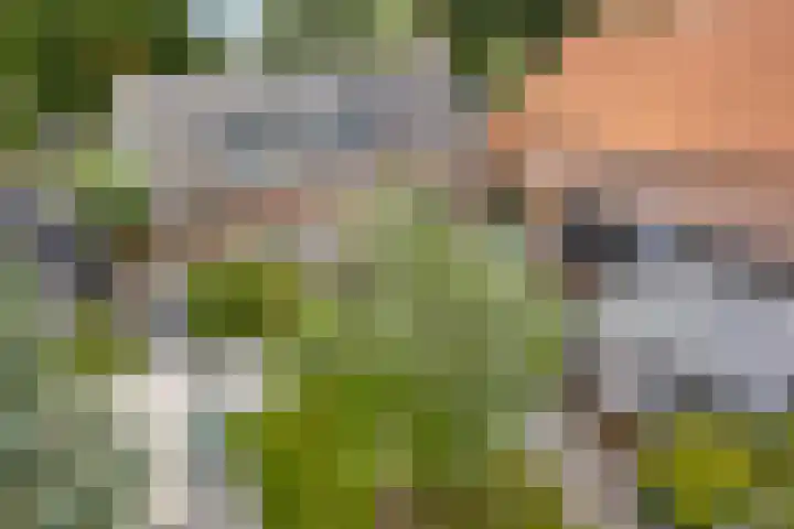 Korte Zandpad 16 Lopik thumbnail 26