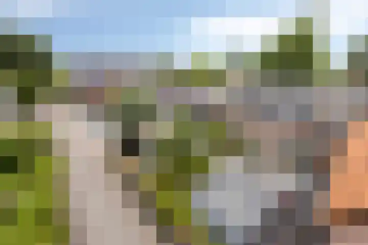 Korte Zandpad 16 Lopik thumbnail 27