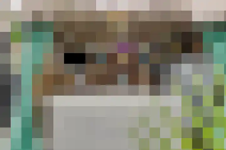 Korte Zandpad 16 Lopik thumbnail 32