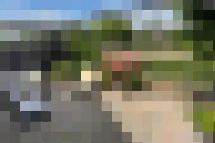 Korte Zandpad 16 Lopik thumbnail 35