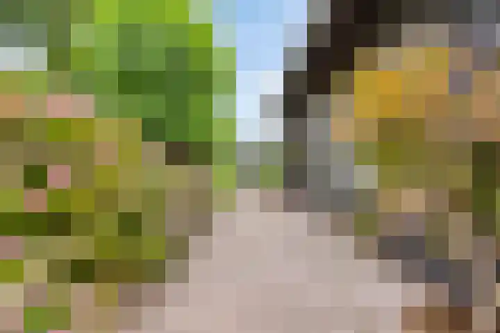 Korte Zandpad 16 Lopik thumbnail 37