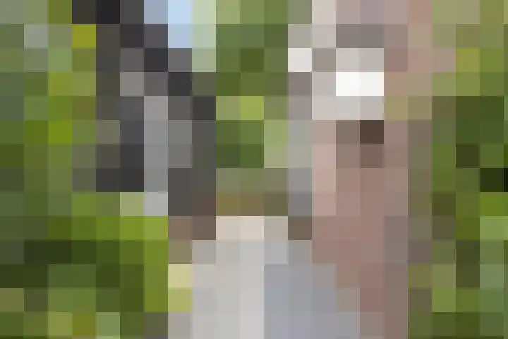 Korte Zandpad 16 Lopik thumbnail 38