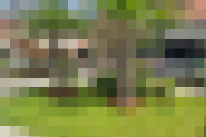 Korte Zandpad 16 Lopik thumbnail 4