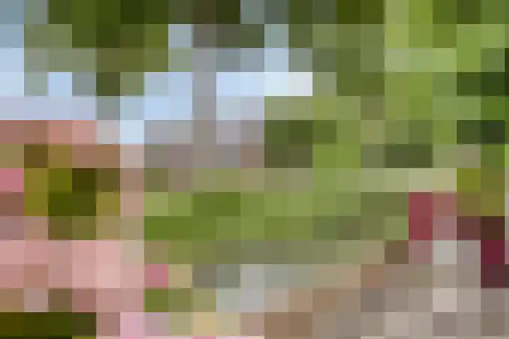 Korte Zandpad 16 Lopik thumbnail 41