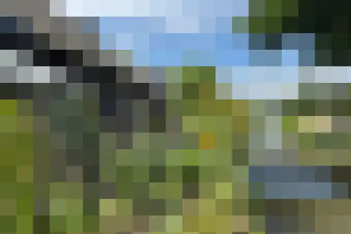 Korte Zandpad 16 Lopik thumbnail 42