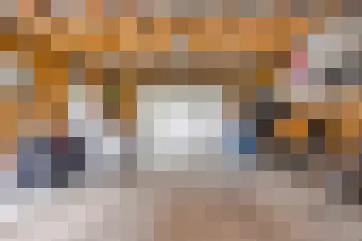 Korte Zandpad 16 Lopik thumbnail 44