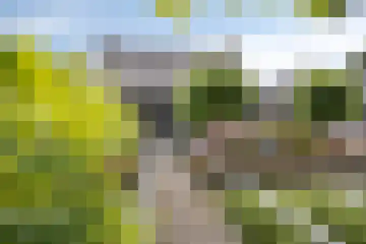 Korte Zandpad 16 Lopik thumbnail 46