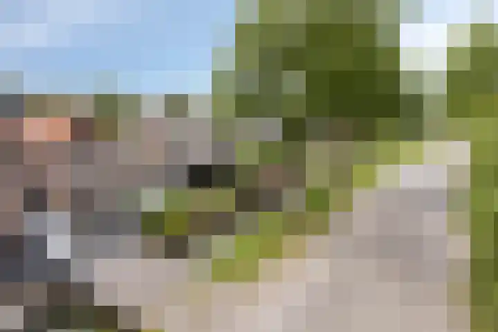 Korte Zandpad 16 Lopik thumbnail 50