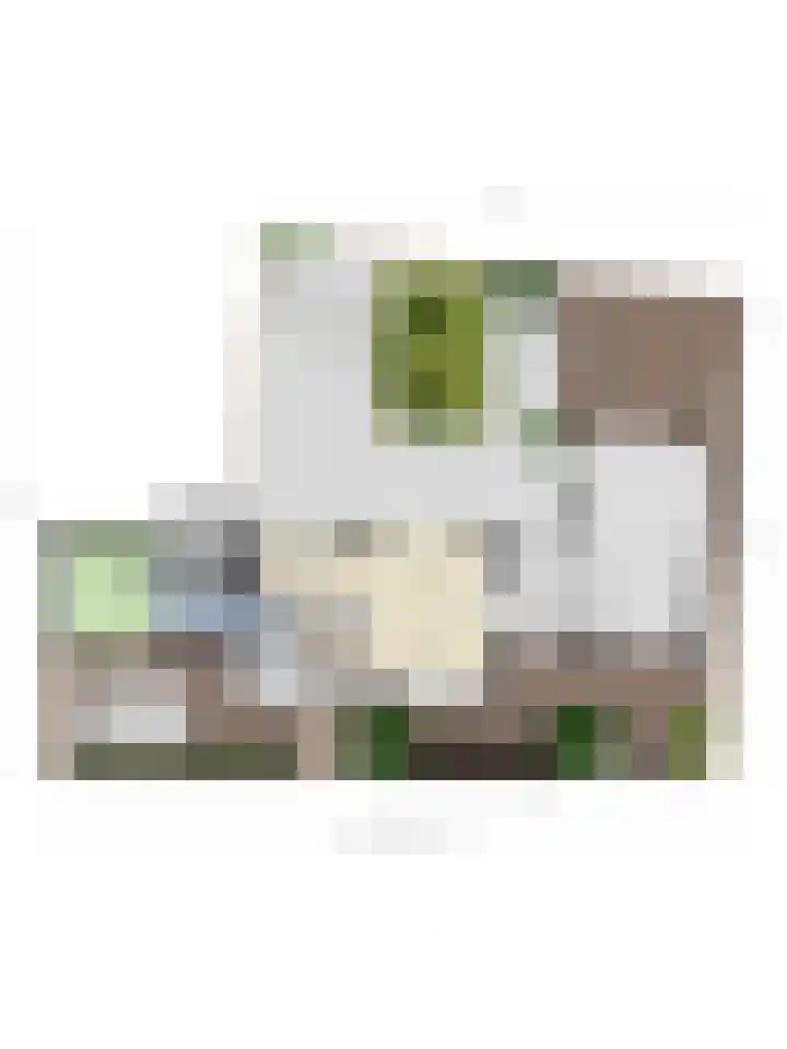 Korte Zandpad 16 Lopik thumbnail 51