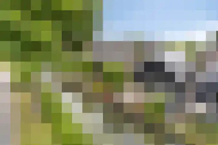 Korte Zandpad 16 Lopik thumbnail 59