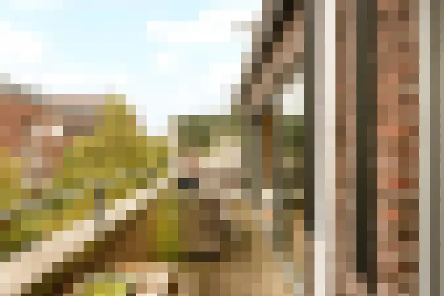 Korte Zijlstraat 34 Haarlem thumbnail 14