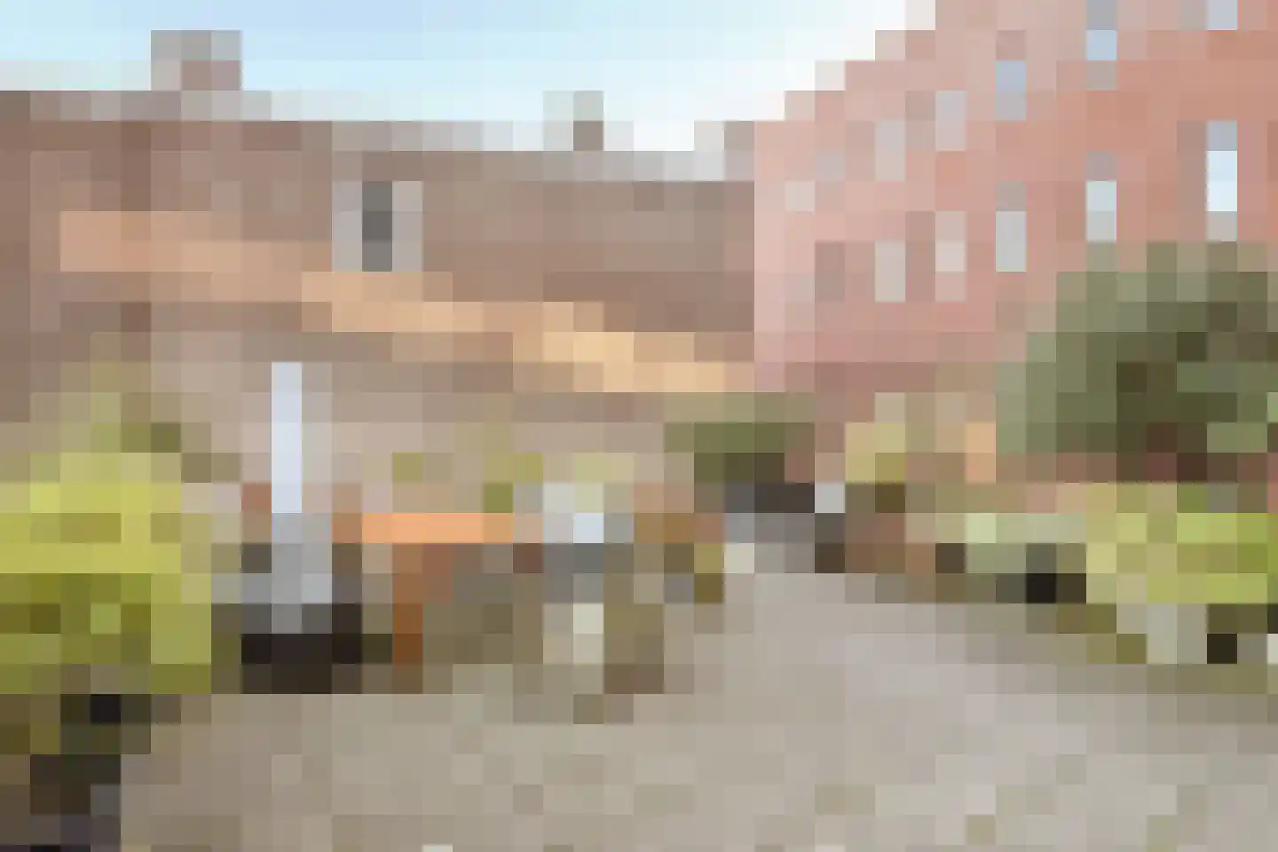 Korte Zijlstraat 34 Haarlem thumbnail 30